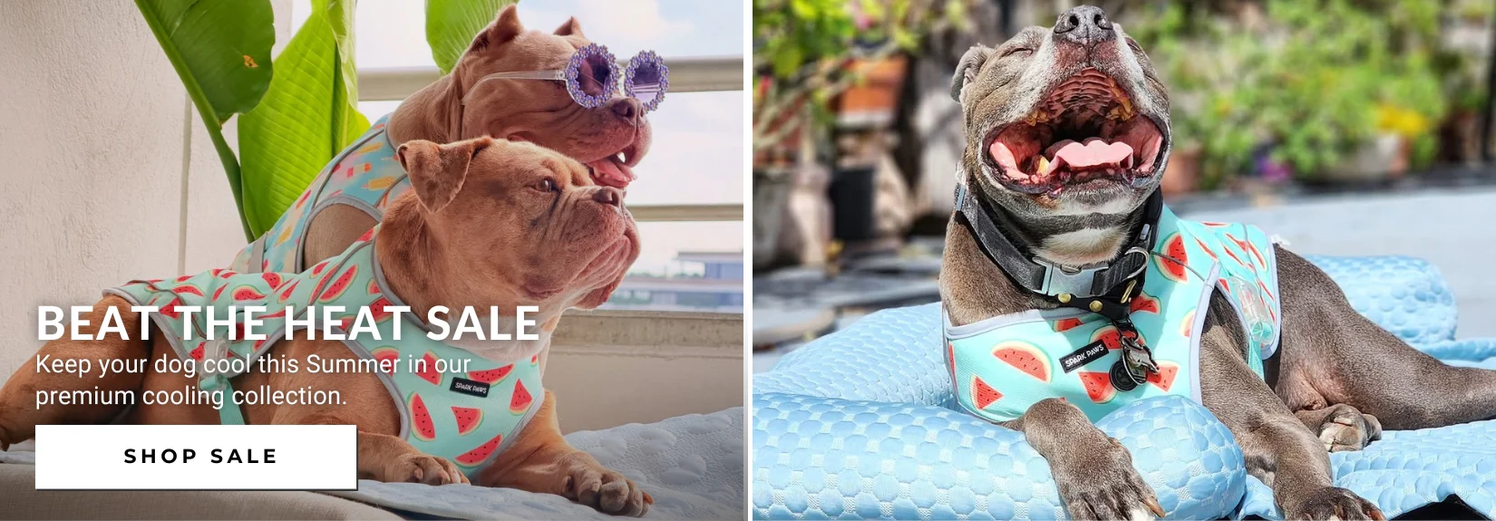 Match Your Best Friend's Style